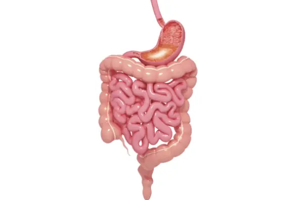 Natascha Range Naturheilverfahren